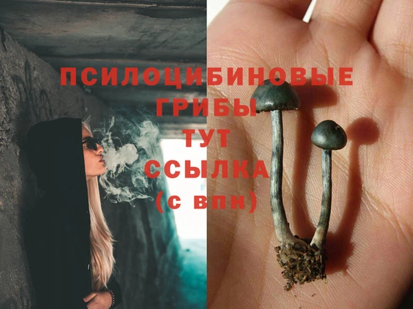 бошки Арсеньев
