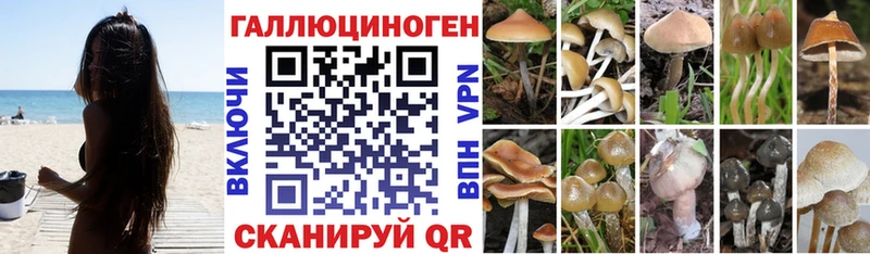 Псилоцибиновые грибы MAGIC MUSHROOMS  купить закладку  Мантурово 
